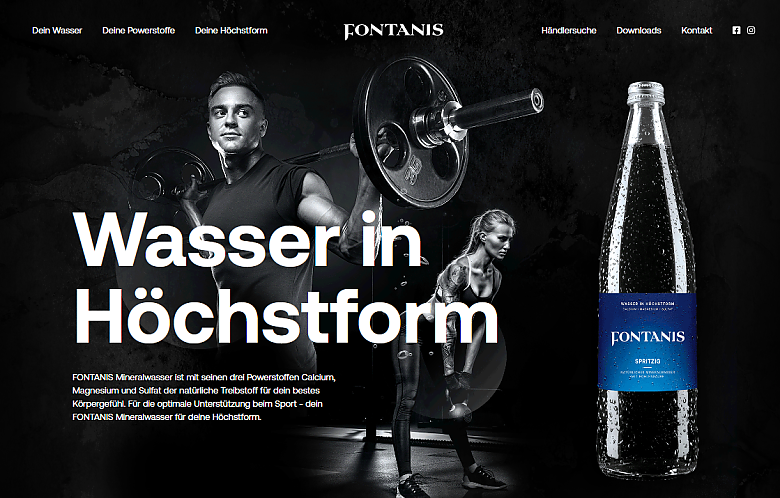 Screenshot Fontanis Webseite